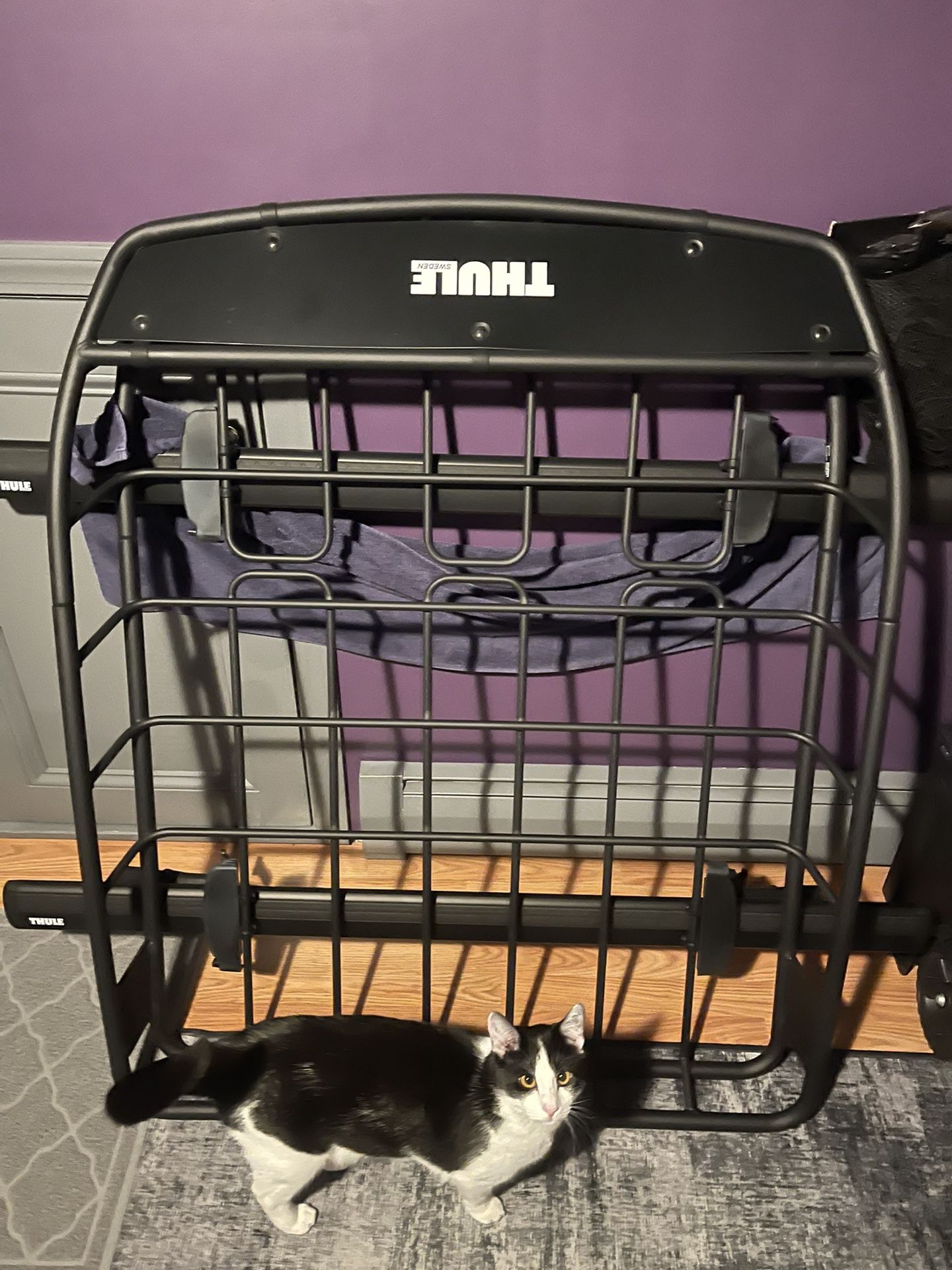 Thule Crossbars and Canyon XT Basket