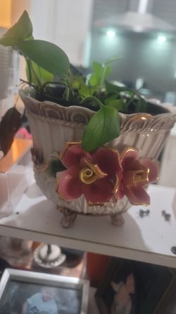 Porcelain Rose Bowl/Flower Pot