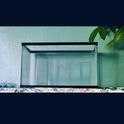 Fish Tank