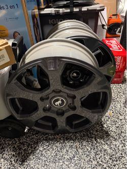 OEM Ford Bronco 17s