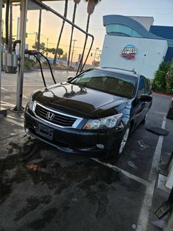 2010 Honda Accord