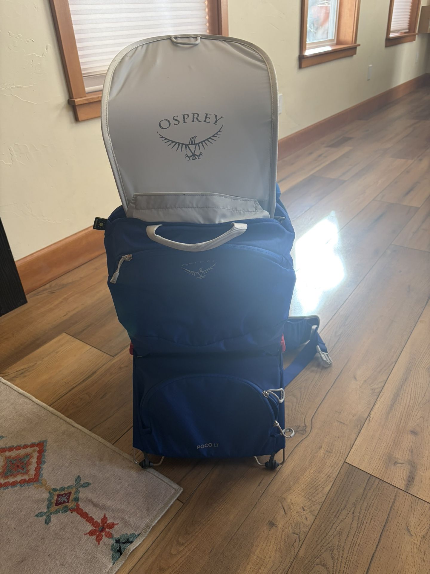 Osprey Baby Carrier With Rain Fly