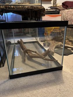 Terrarium/Aquarium 40 Gallons All Glass Bottom With Screen Lid