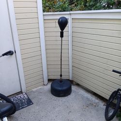 Reflex Punching Bag 