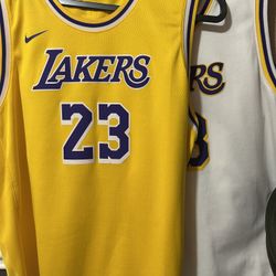 Nike Lakers LeBron James Kids XL jerseys
