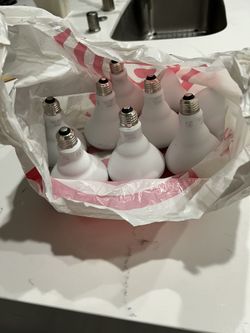 9 FEIT Electric LED Bulbs