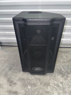 Peavy Satellite Speaker 2-way satellite 10-inch woofer and an RX14 1.4-inch titanium compression
