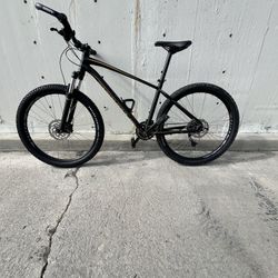 Mountain Bike (Specialized Pitch)