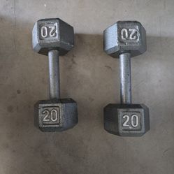 Two 20 Pound Dumbbells 