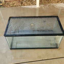 50 Gallon Aquariu/terrarium 