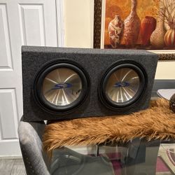 12” Subwoofer