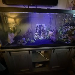 75 Gallon Fish Tank /Stand