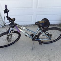Giant Boulder Ladies Mountain Bike