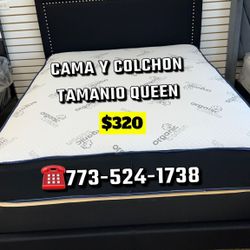 Queen Bed 