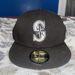 Fitted Hat