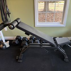 Rogue AB 3 Adjustable Bench With Foot Catch