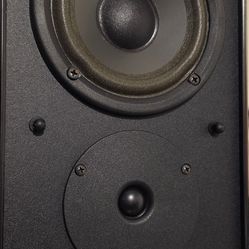 Legacy Speakers in great shape!