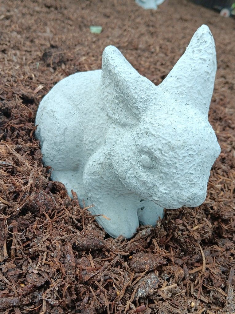 Smaller Rabbit