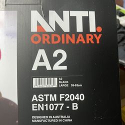 Ski Helmet 