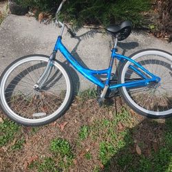 Next Bicycle New Seat Newer Tires