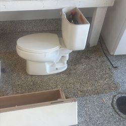 Sink toilet, and a chimney mantle