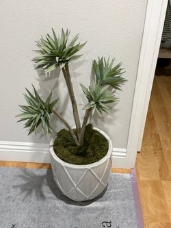 Faux Agave Plant in White Ceramic Pot