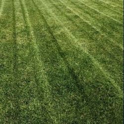 Cheap Gardner