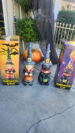 Halloween with Halloween cat