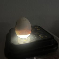 Duck Eggs And Chickens