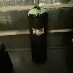 Everlast Punching Bag