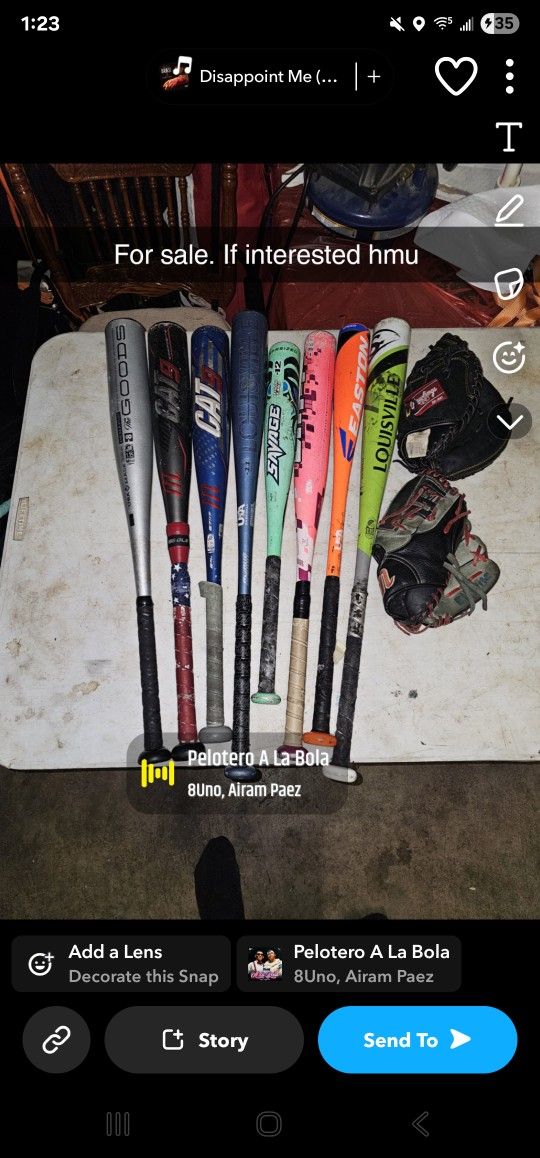 Bats And Gloves Baseball