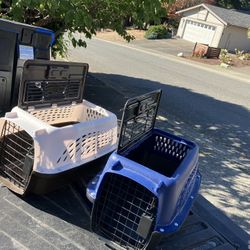 Small Dog Cat Rabbit Bunny Kennel Crate Carrier Like New 20” L by 10” W by 10” H $20 Each
