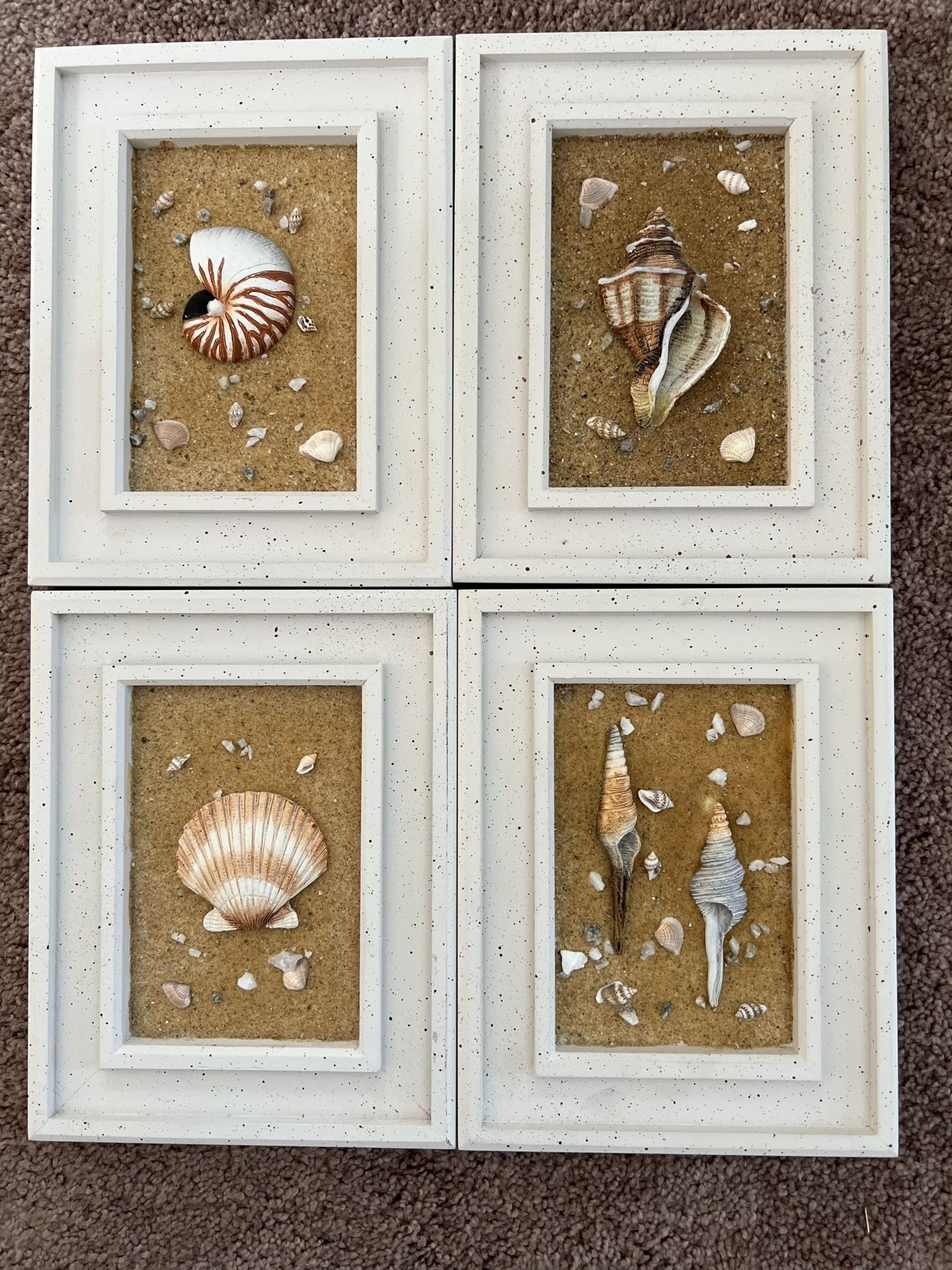 Seashell Decor Art - Set of 4