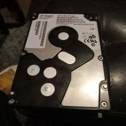 Seagate ST19171WC Internal Hard Drive Barracuda