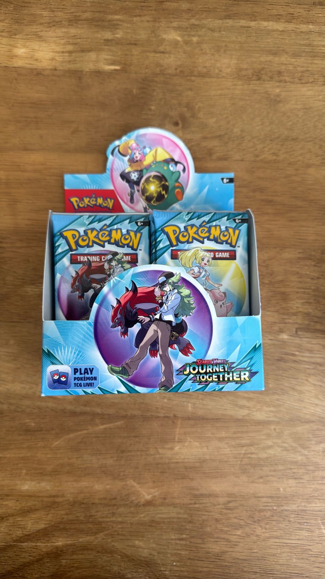 Pokemon Cards Journey Together