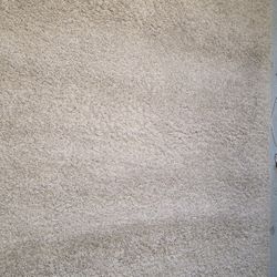 Area Rug 