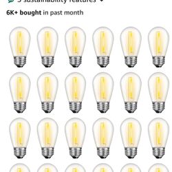 100  S14 Outdoor Bulbs 