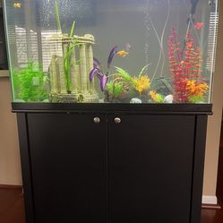 Fish Aquarium  45 Gallon