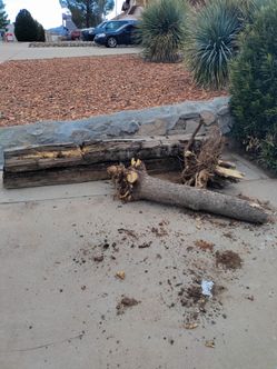 Free Railroad Ties 