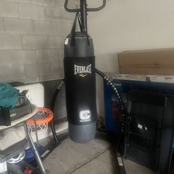 Everlast MMA Punching Bag With Stand And Pull Up Bar