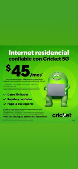 Cricket