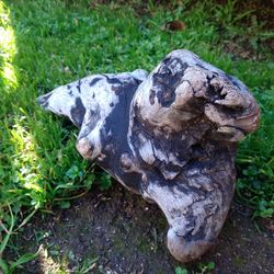 Natural Driftwood For Aquariums Terrariums Decor Etc 