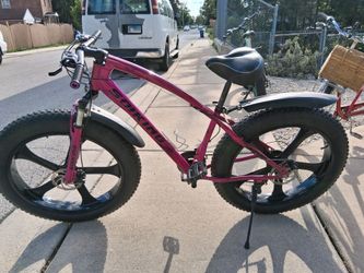 Fat tire bike