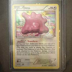 Ditto 