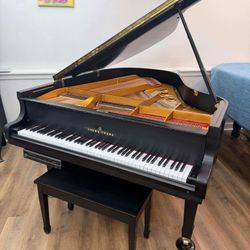 Young Chang Self Played Piano- 5500$
