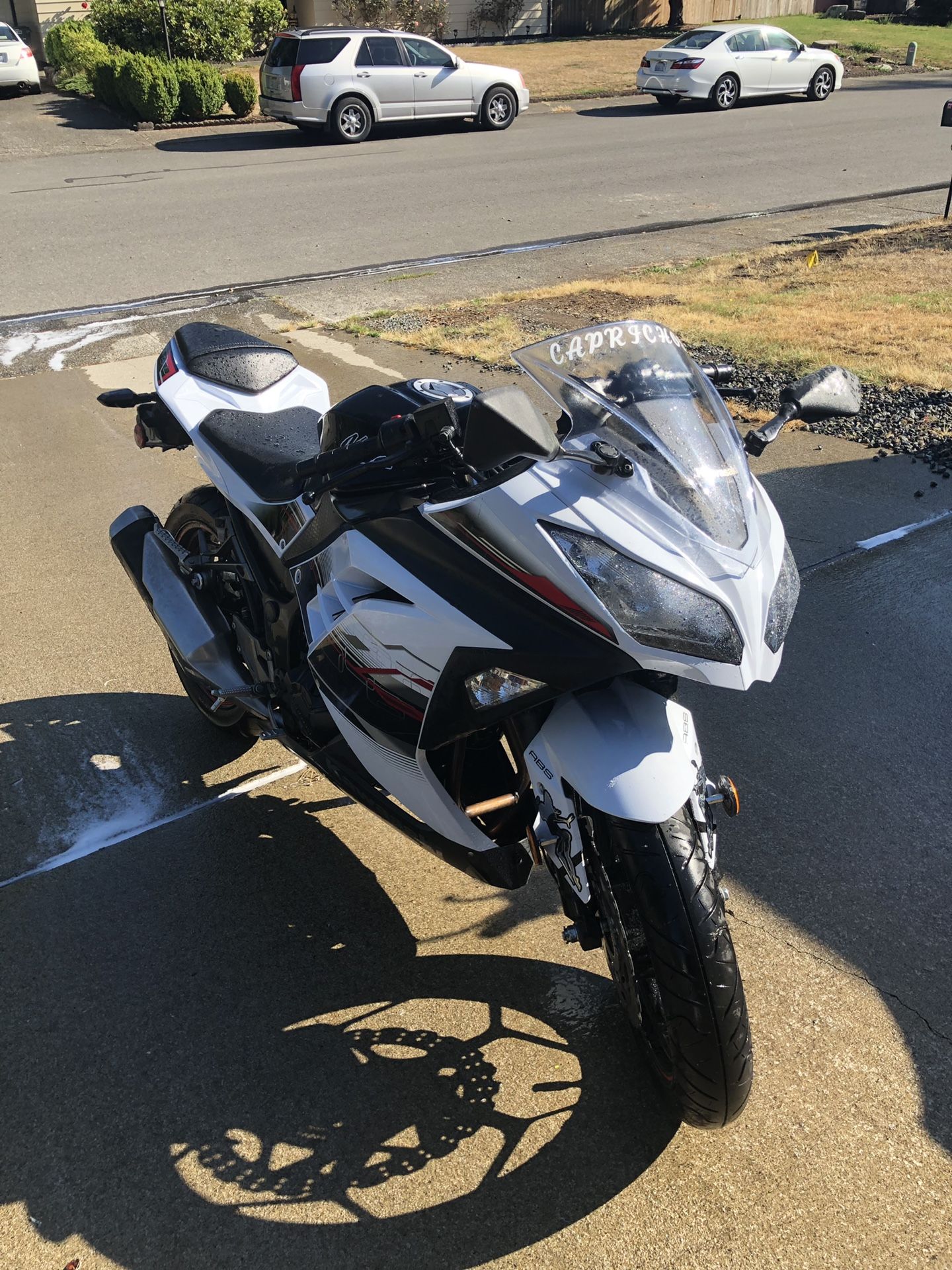 Kawasaki ninja motorcycle
