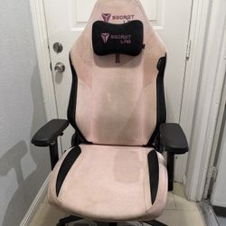 Secretlab TITAN Evo Plush Pink