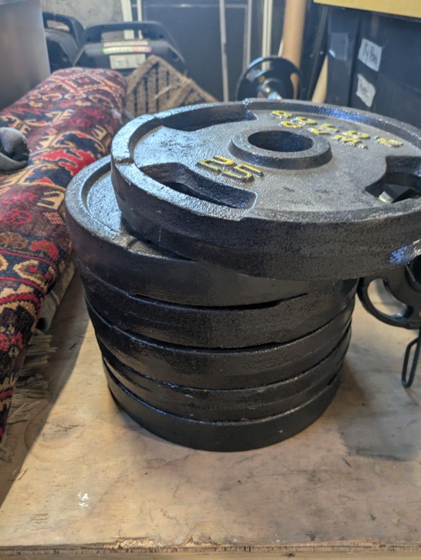 Curl Bar & Weights. Golds Gym