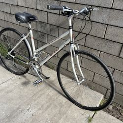 Giant Brownstone Road Bike 17 In