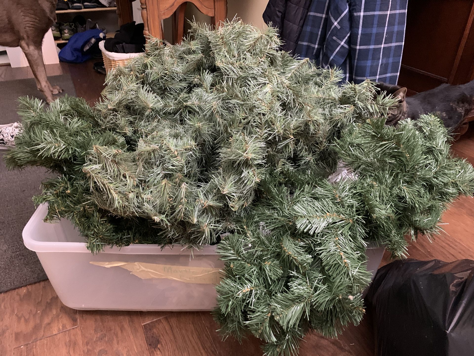 Evergreen Garland - 2 boxes